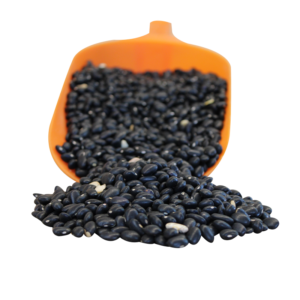 Frijol Negro Zacatecas