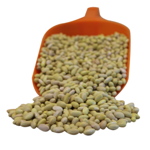 Frijol Peruano Higueras