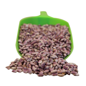 Frijol Flor de Mayo variedad Eugenia