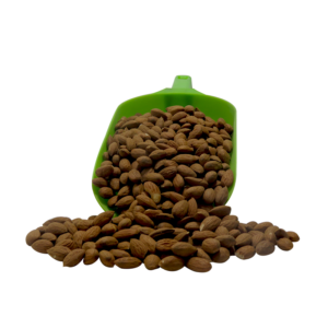 Almendra Importada Variedad Carmel Chilena