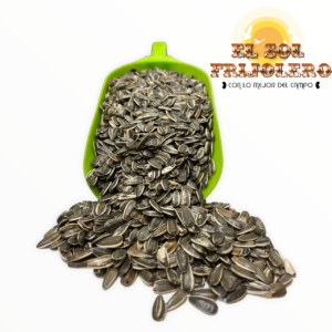 Semilla de Girasol Jumbo