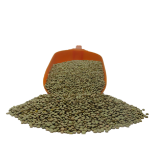 Lenteja Chica Importada