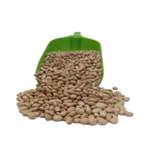 Frijol Bayo