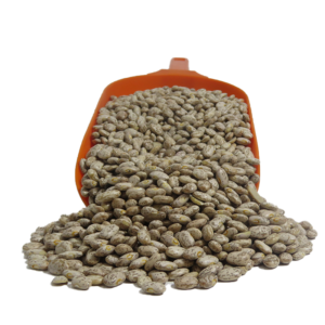 Frijol Pinto Americano