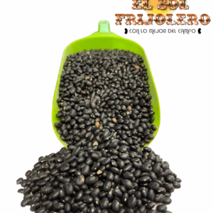 Frijol Negro Tipo Americano